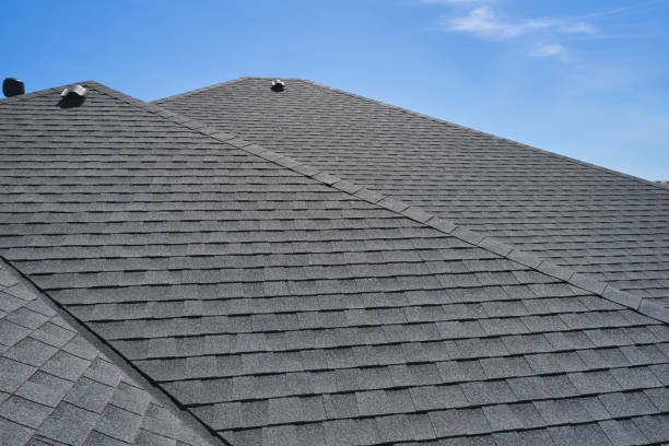 Roof Moss and Algae Removal in Sleepy Hollow, IL